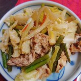 ニンニクの芽と豚肉の野菜炒め